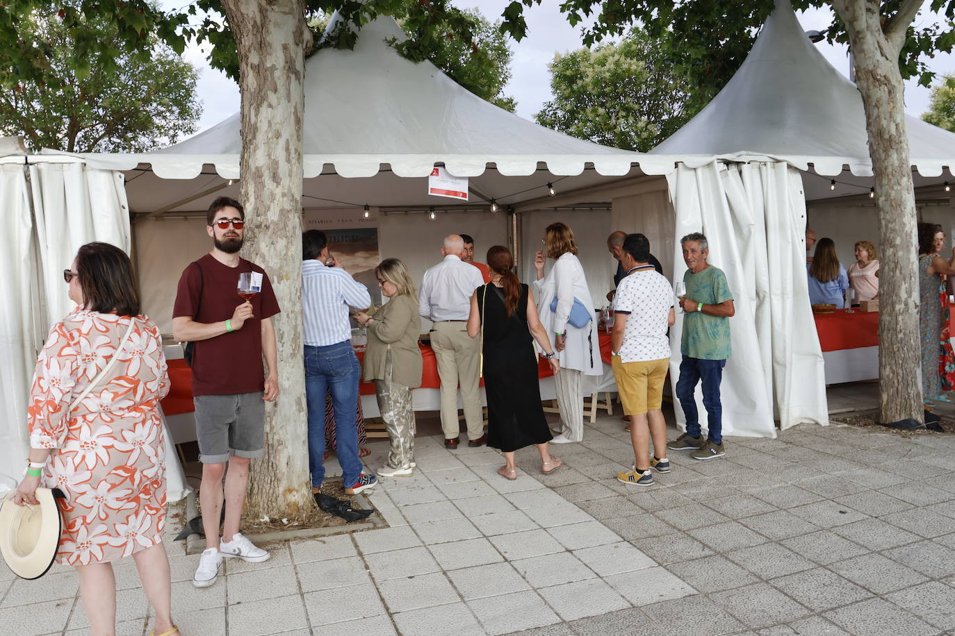 El Camino de Santiago dedica en Frómista un festival al vino