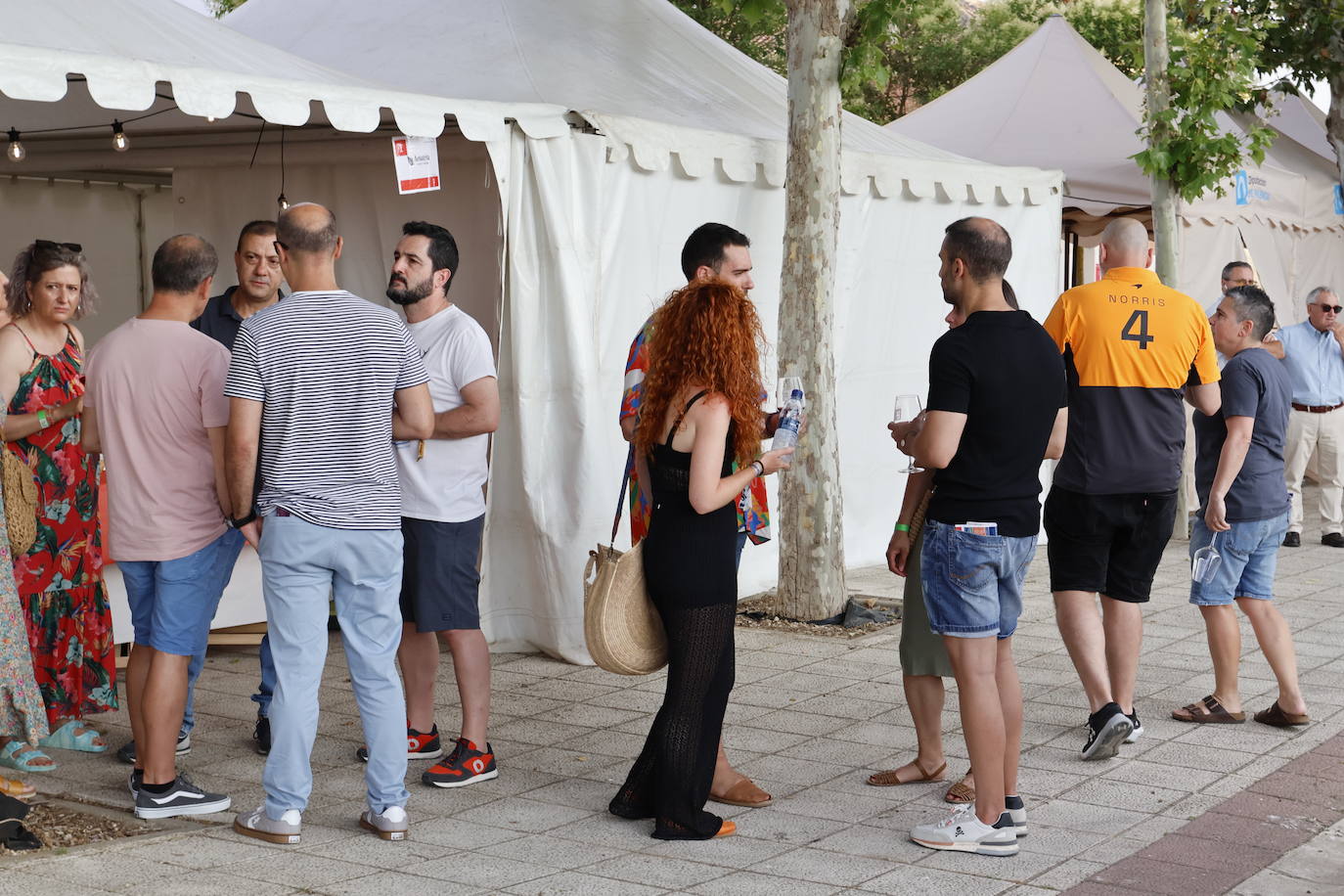 El Camino de Santiago dedica en Frómista un festival al vino