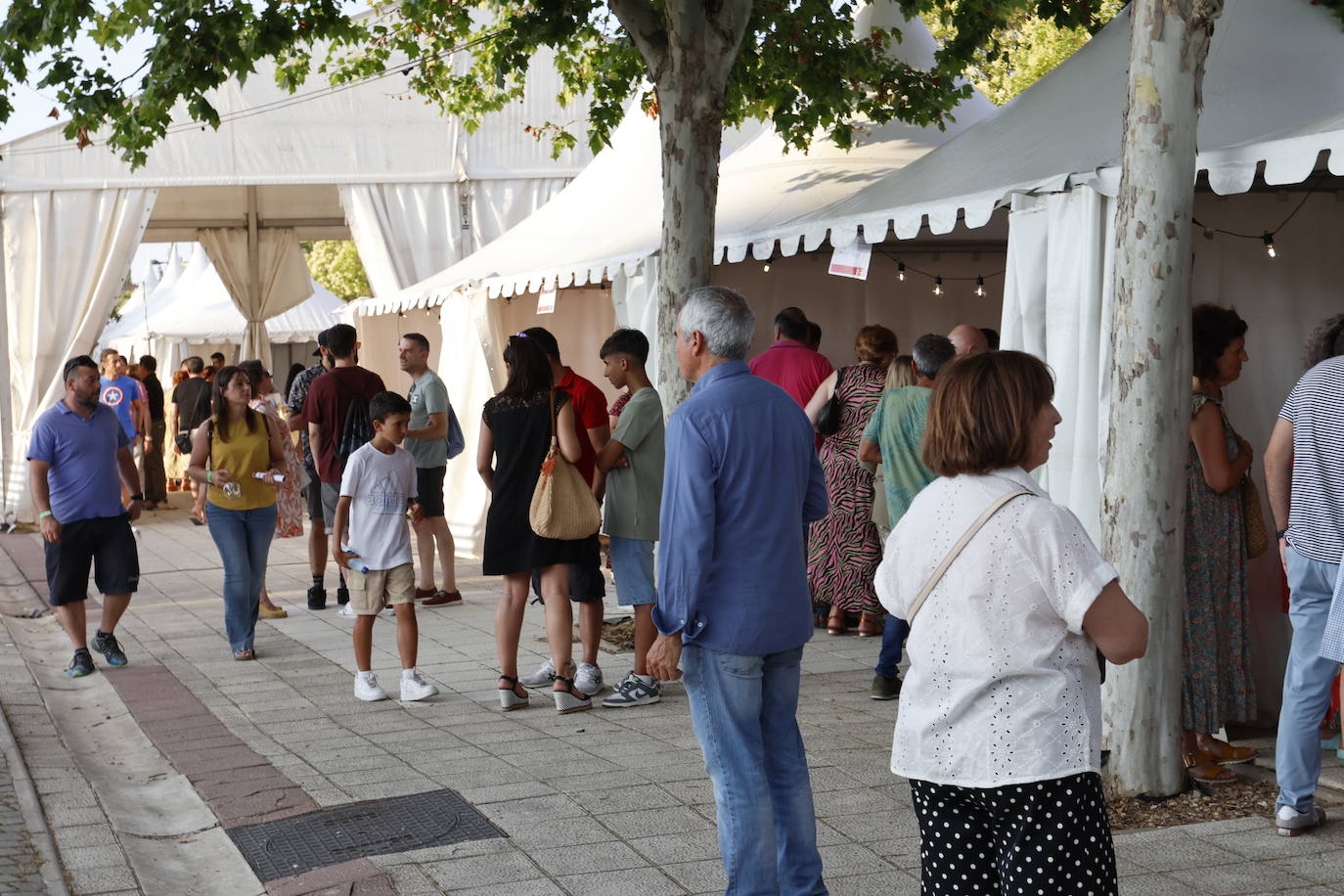 El Camino de Santiago dedica en Frómista un festival al vino