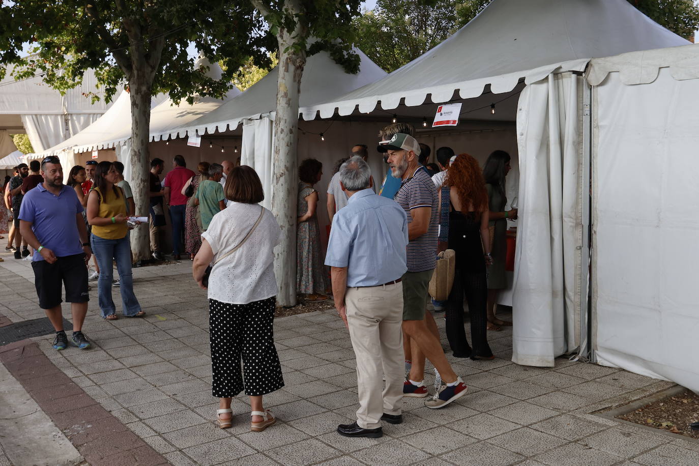 El Camino de Santiago dedica en Frómista un festival al vino