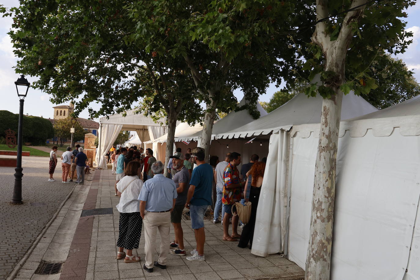 El Camino de Santiago dedica en Frómista un festival al vino