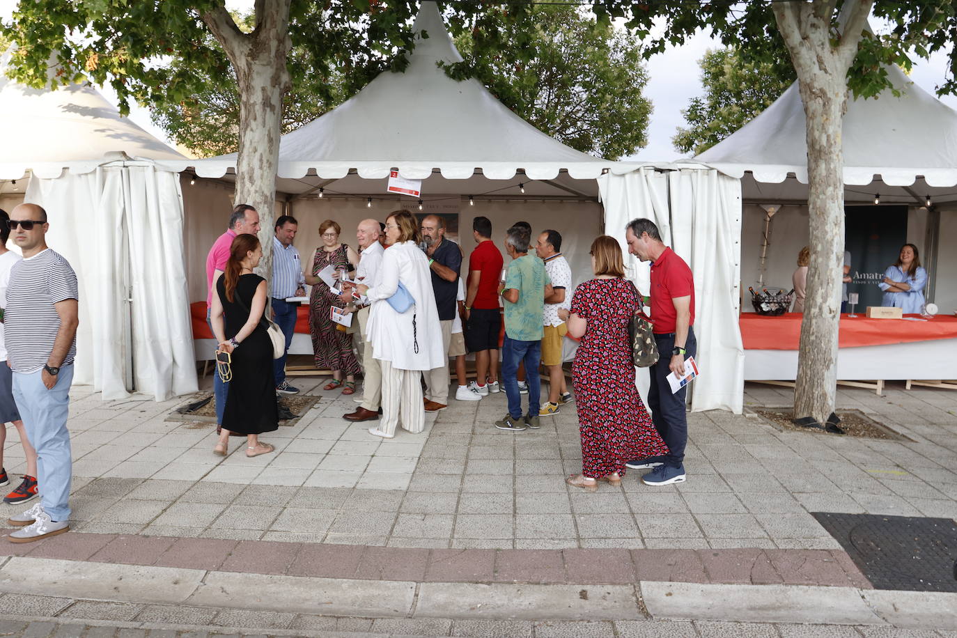 El Camino de Santiago dedica en Frómista un festival al vino