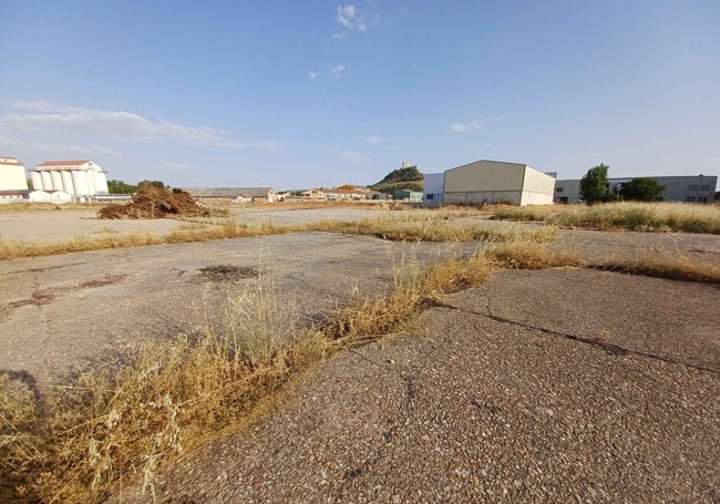 Otra panorámica de las parcelas propiedad del Ayuntamiento en el suelo de la antigua azucarera.