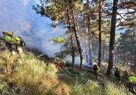 Los agentes y bomberos combaten el fuego declarado este jueves por la tarde en la sierra de Guadarrama, en el término municipal de El Espinar.