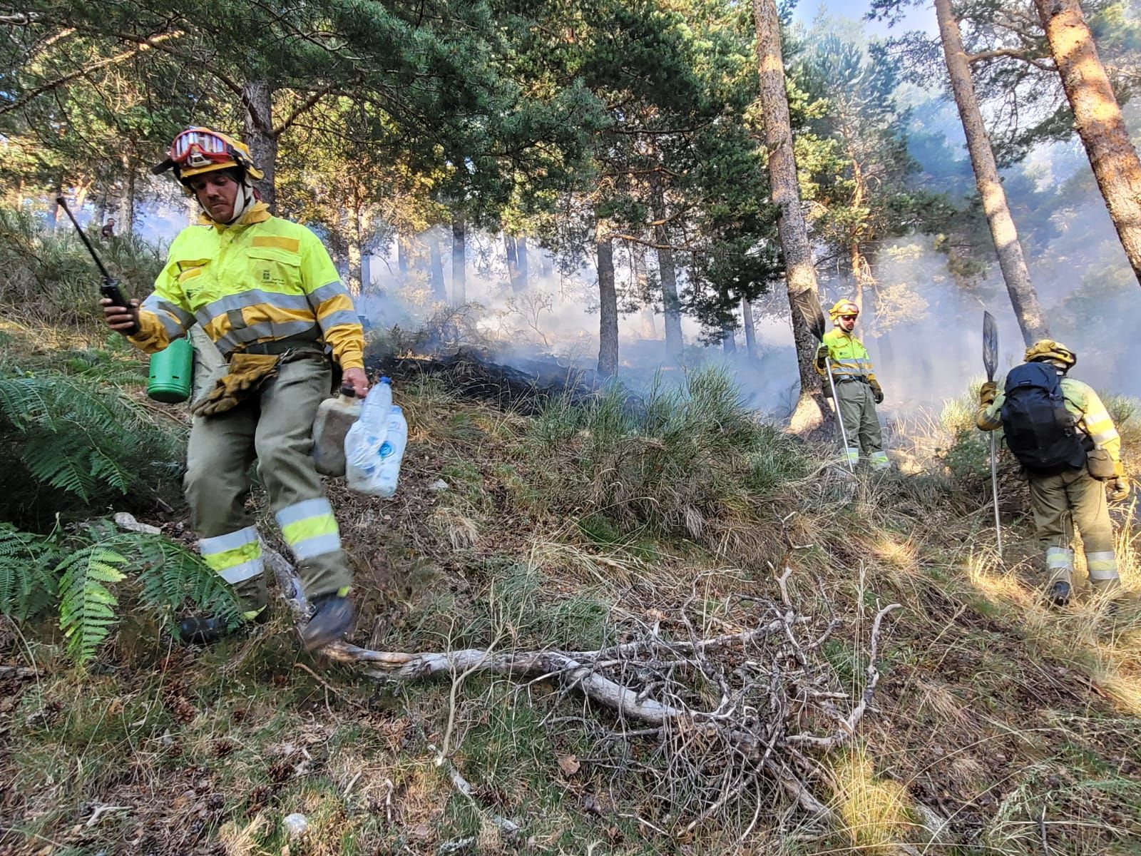 Fotografías del incendio en la sierra de Guadarrama