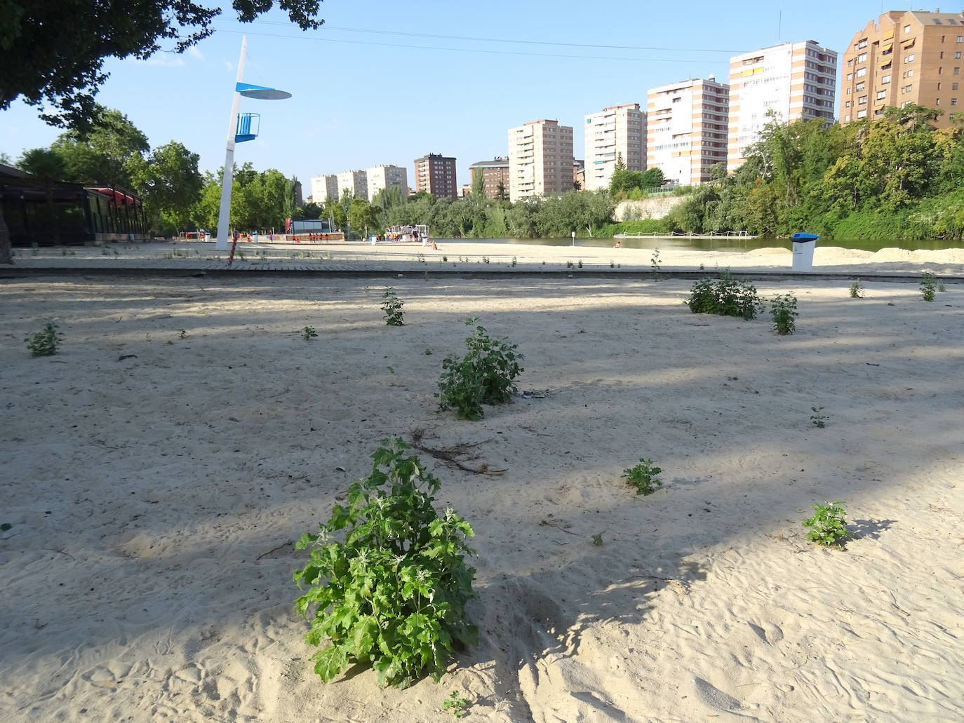 Estado de la playa de las Moreras antes del cambio de arena