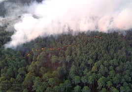 Incendio de nivel uno en El Hornillo (Ávila).