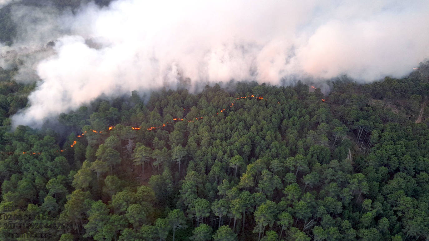 Incendio de nivel uno en El Hornillo (Ávila).