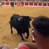 Susto en Íscar: un toro causa el pánico al saltar al callejón de la plaza