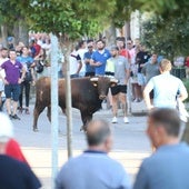 Los toros vuelven a deslucir el encierro de La Seca