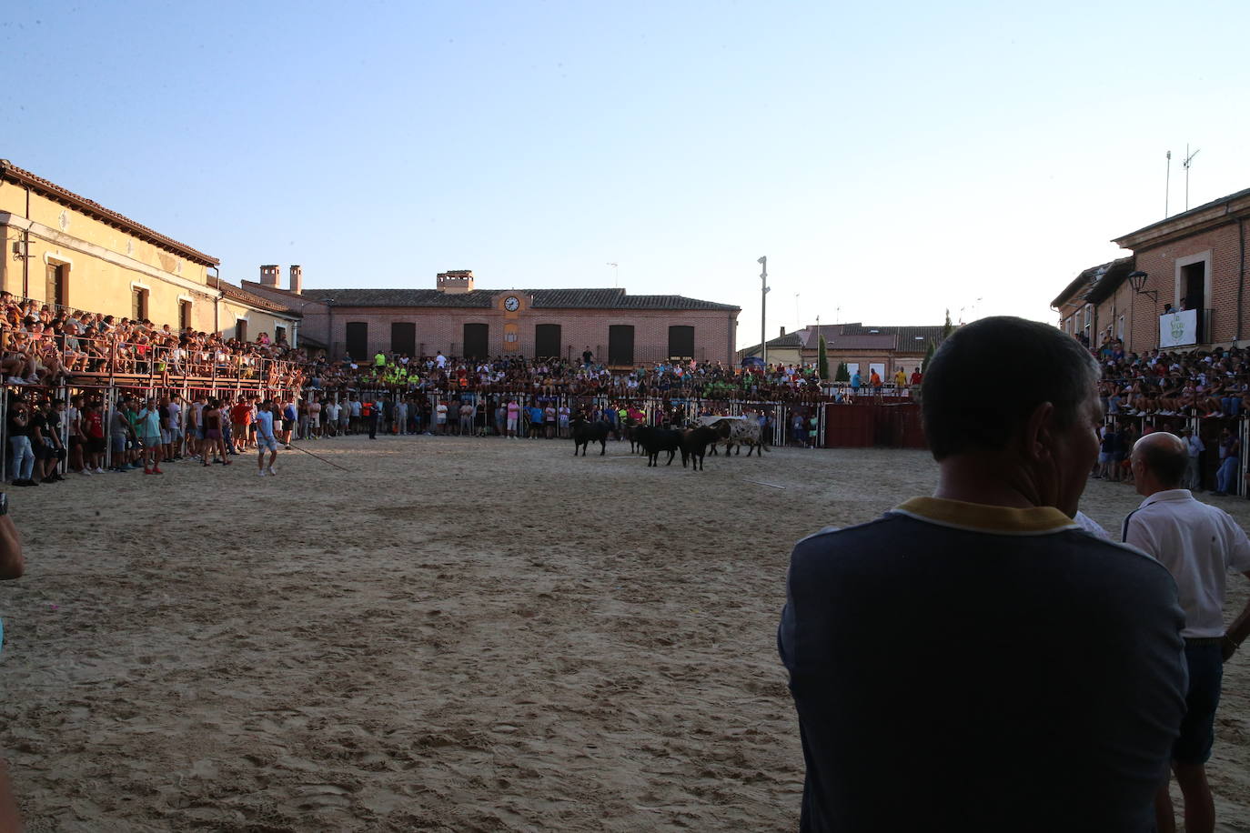 Las imágenes del encierro celebrado en La Seca este domingo, 4 de agosto