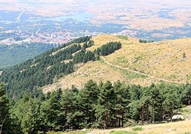 Estado de los terrenos que fueron arrasados por las llamas en 2019 y, al fondo, vista del Real Sitio de San Ildefonso.
