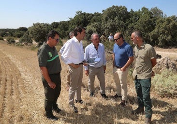 15.000 hectáreas del Cerrato palentino aspiran a ser un hogar para el lince ibérico