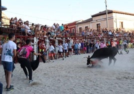 La vaca prende al joven que resultó herido leve.