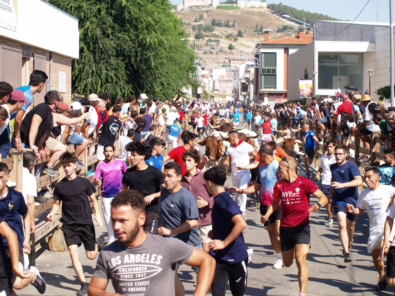 El encierro campero en Íscar, en imágenes