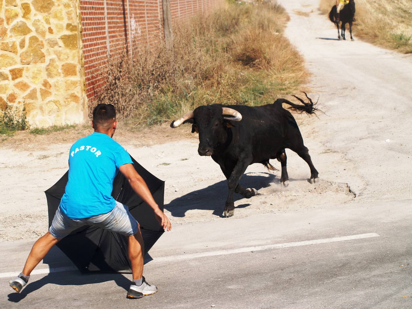 El encierro campero en Íscar, en imágenes