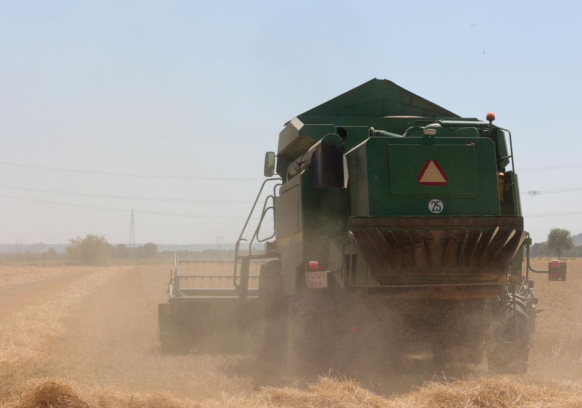 Una cosechadora en un campo palentino a finales del pasado mes de julio.