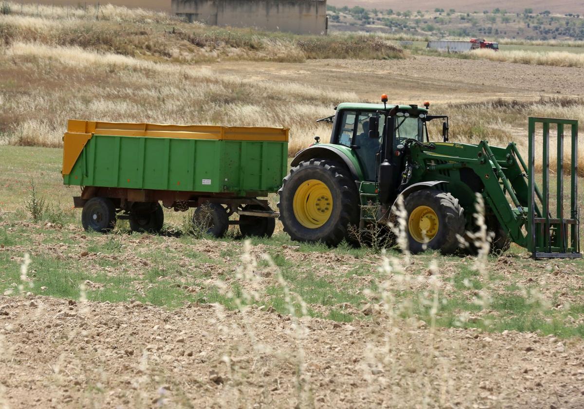 Un tractor realiza labores con motivo de la cosecha en un campo de la provincia de Segovia.