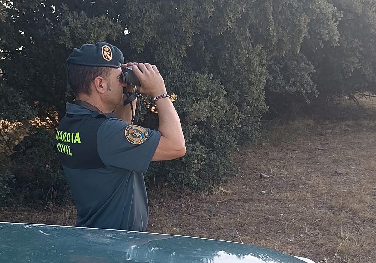 Un agente de la Guardia Civil realiza labores de vigilancia en el campo.