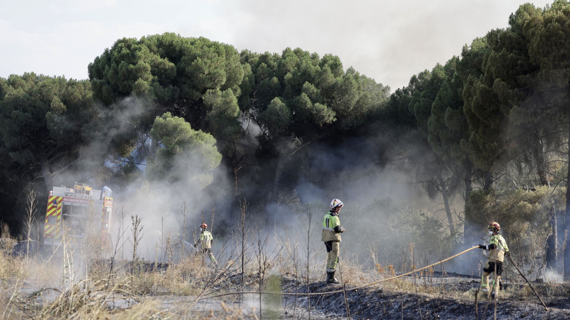 El nuevo incendio en Pinar de Jalón, en imágenes