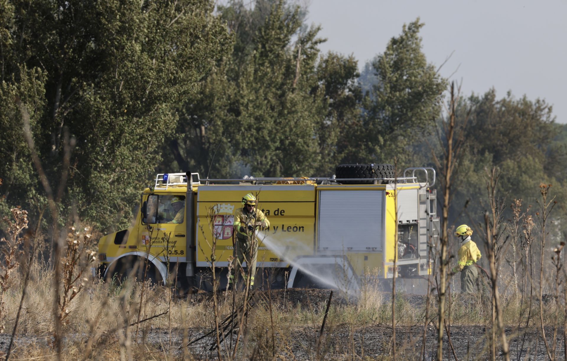 El nuevo incendio en Pinar de Jalón, en imágenes