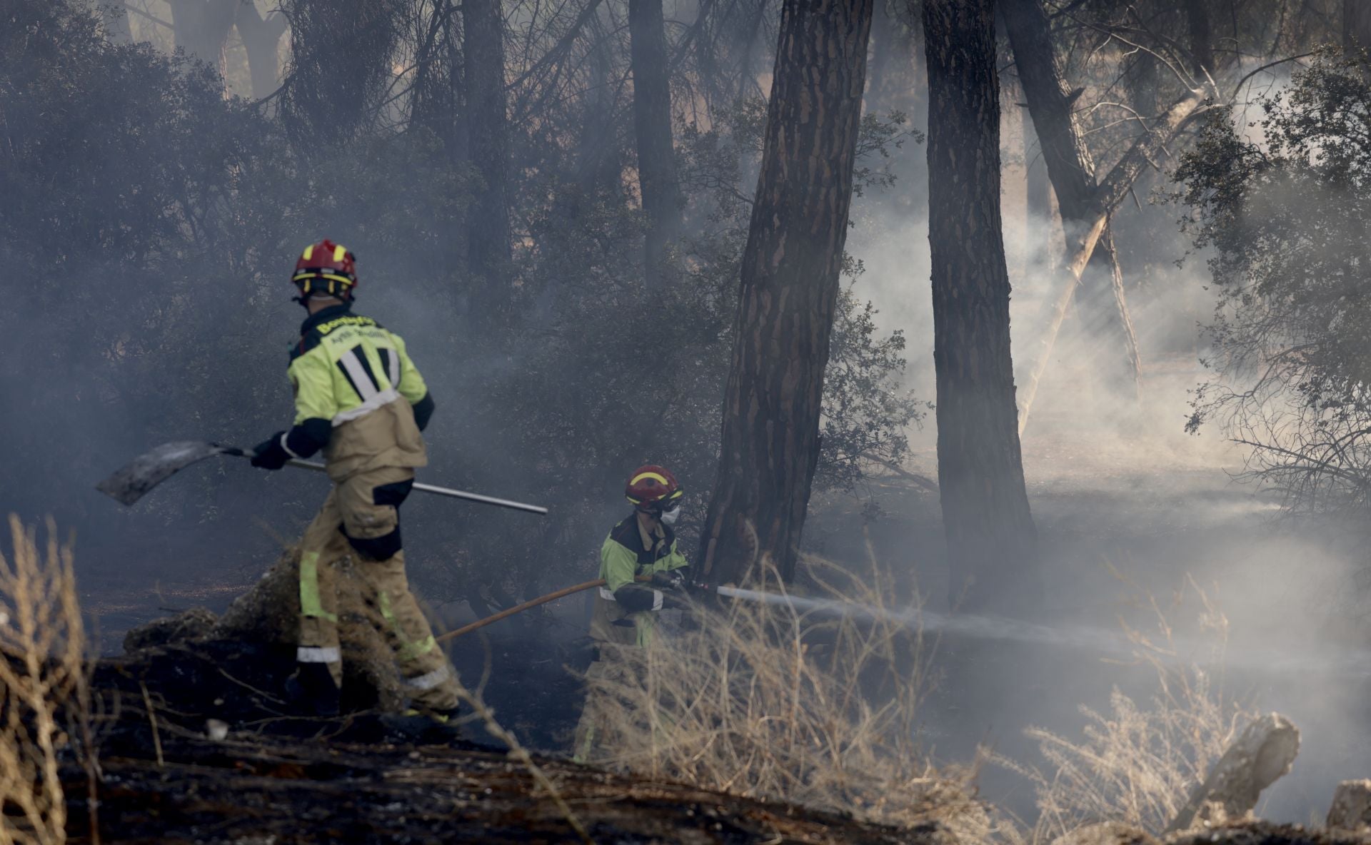 El nuevo incendio en Pinar de Jalón, en imágenes