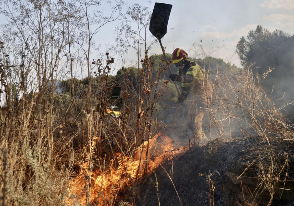 El nuevo incendio en Pinar de Jalón, en imágenes