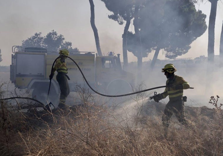 Los bomberos durante su despliegue en Pinar de Jalón.