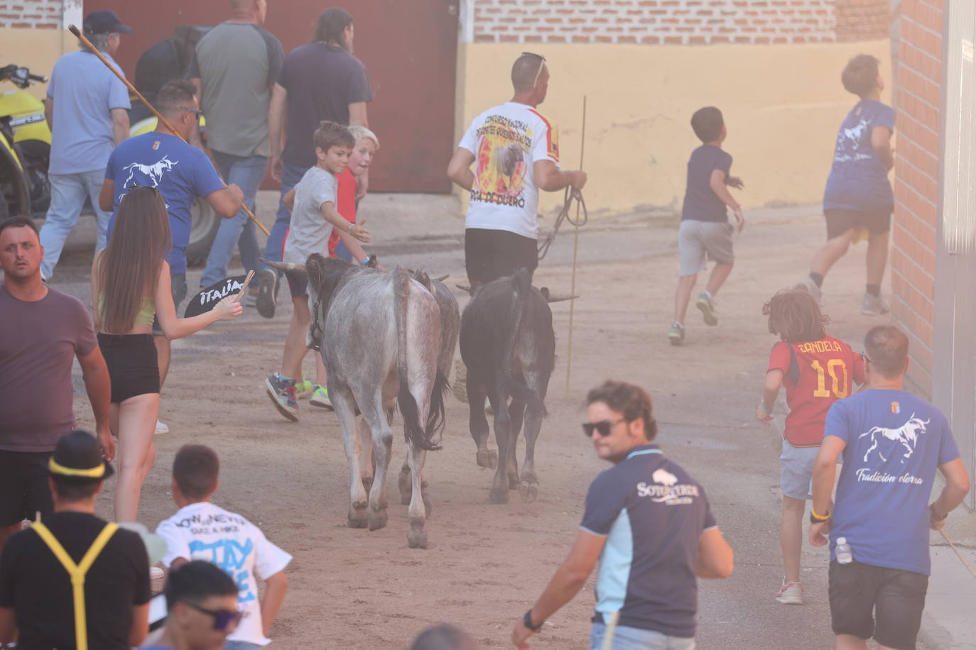 Los festejos taurinos de Castrejón de Trabancos, en imágenes