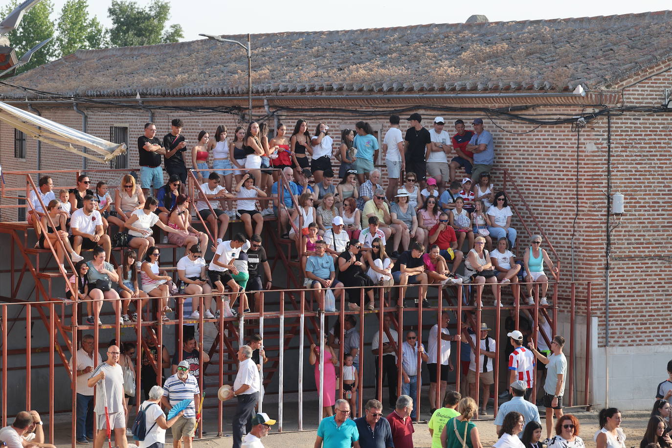 Los festejos taurinos de Castrejón de Trabancos, en imágenes