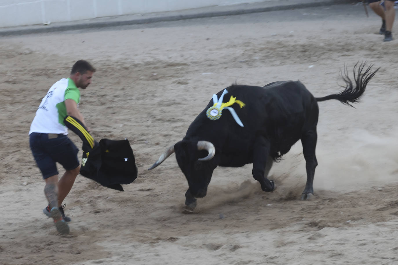 Los festejos taurinos de Castrejón de Trabancos, en imágenes
