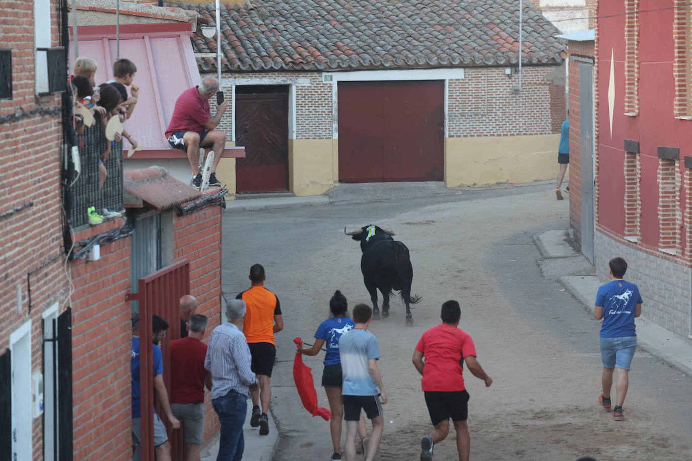 Los festejos taurinos de Castrejón de Trabancos, en imágenes