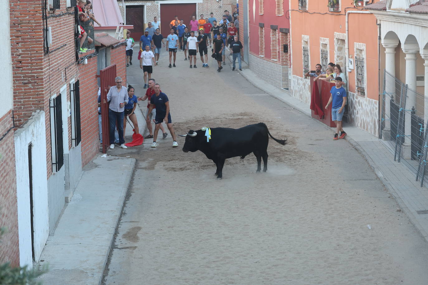Los festejos taurinos de Castrejón de Trabancos, en imágenes