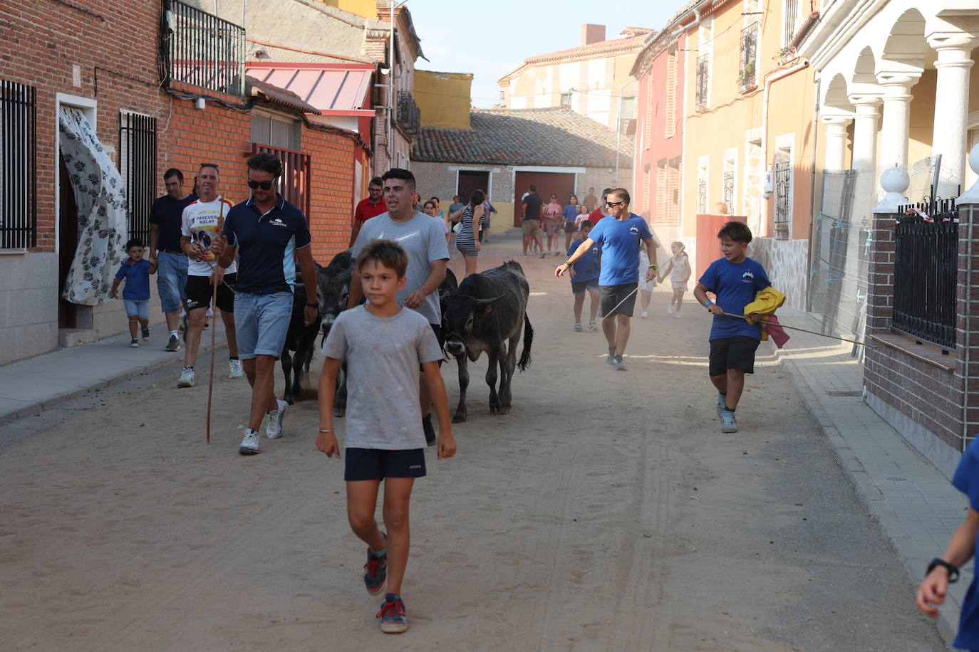 Los festejos taurinos de Castrejón de Trabancos, en imágenes