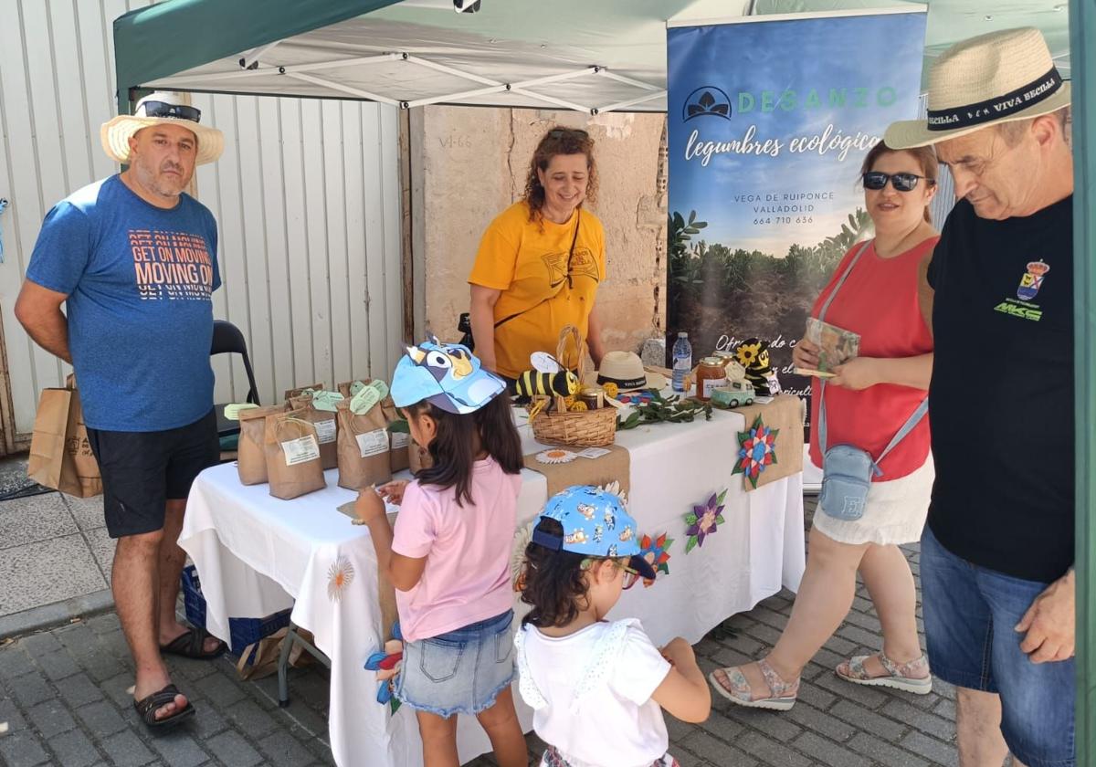 Uno de los puestos del mercado artesanal de Becilla de Valderaduey, este sábado.