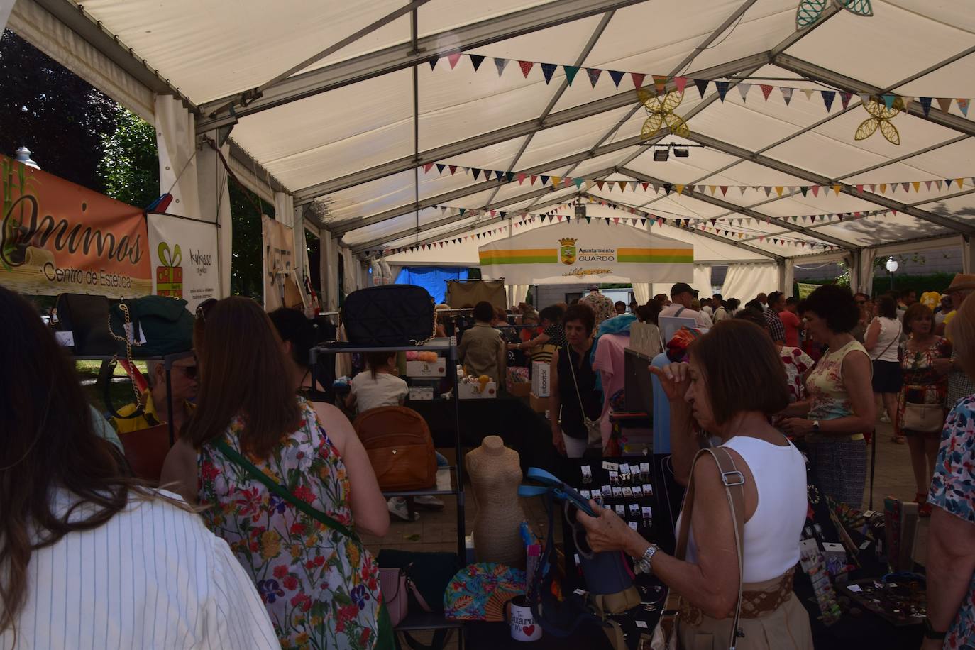 Gran afluencia de asistentes en la Feria del Comercio en Guardo