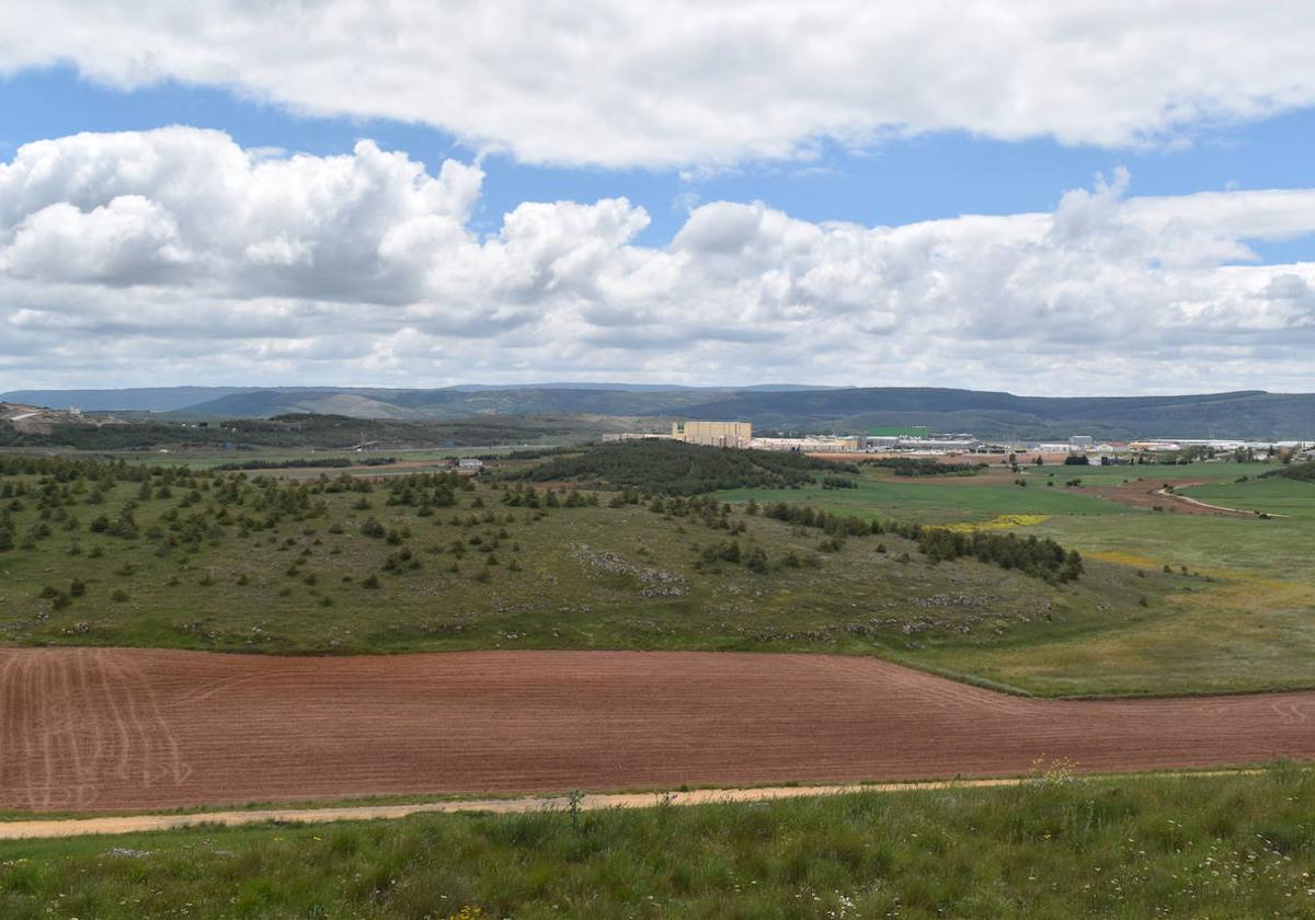 Ladera que acogerá el campo de tiro.