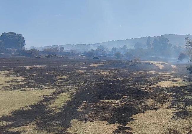 Zona de pasto y matorral que ha ardido al paso de las llamas.
