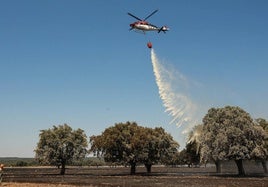 Operativo para sofocar un incendio forestal en Castilla y León, este martes.