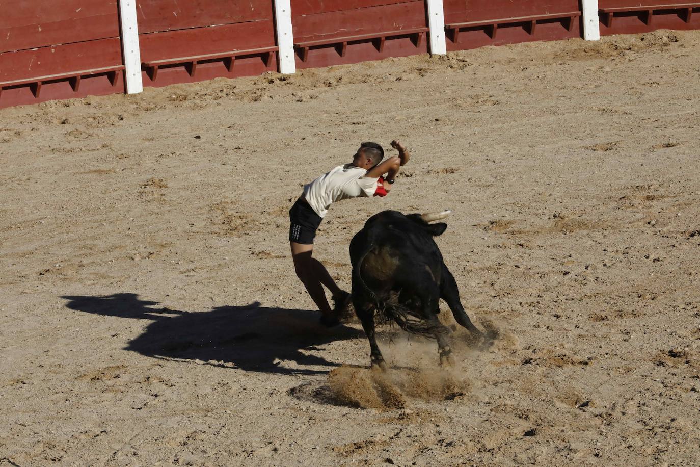 Entretenimiento y espectáculo para inaugurar la fiesta de Peñafiel