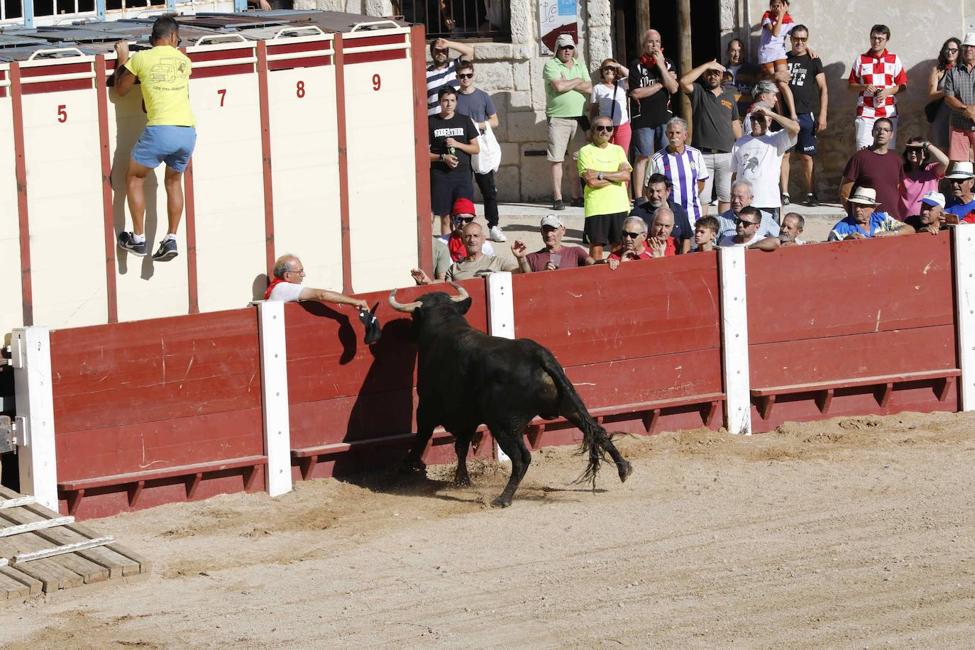 Entretenimiento y espectáculo para inaugurar la fiesta de Peñafiel