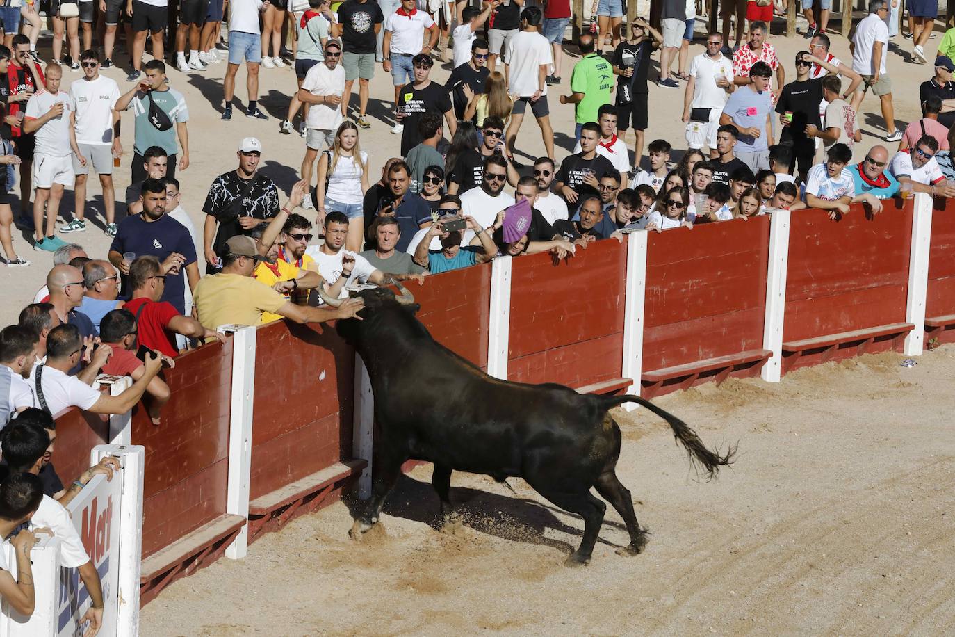 Entretenimiento y espectáculo para inaugurar la fiesta de Peñafiel