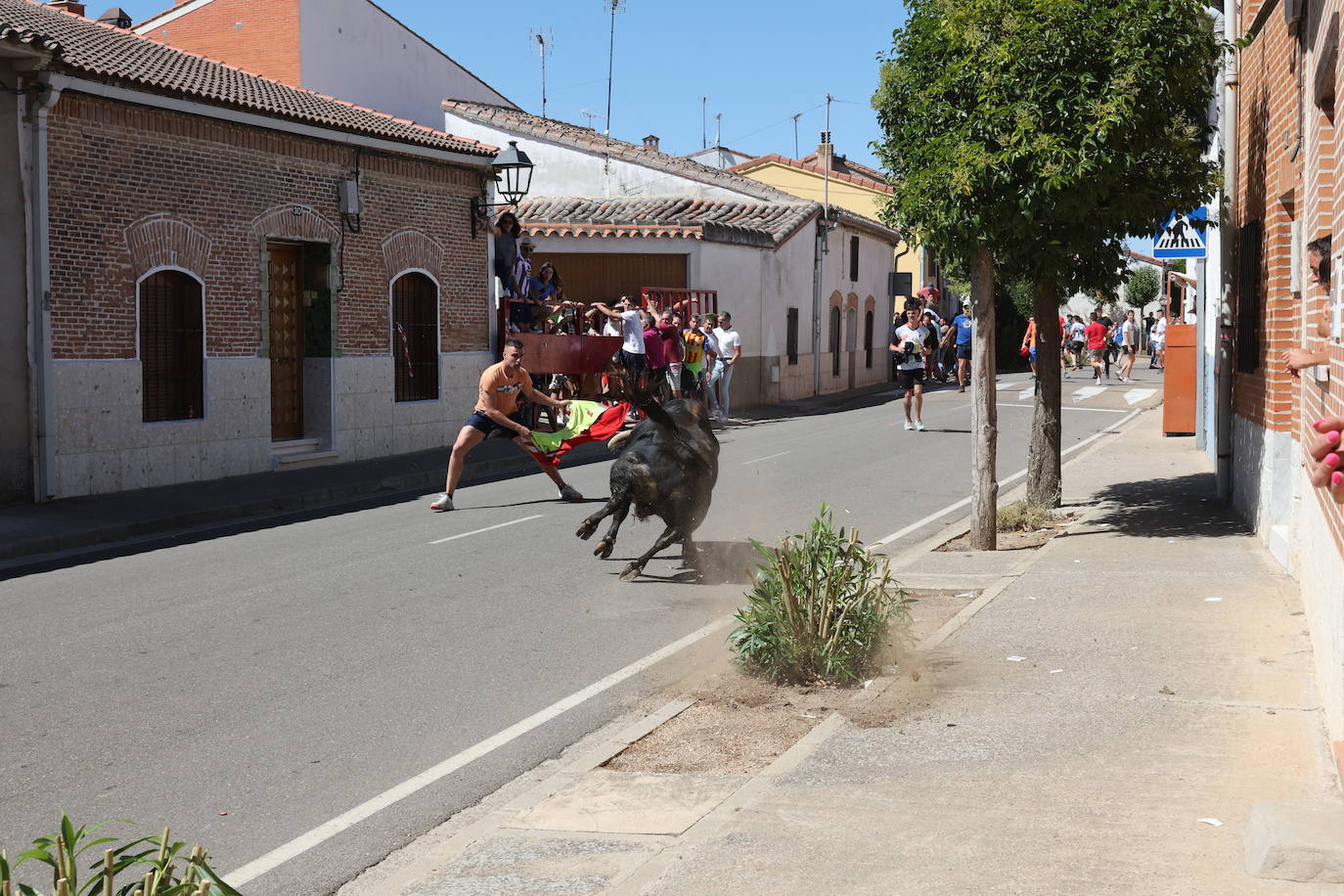 El encierro del Toro de la Bazanca, en imágenes