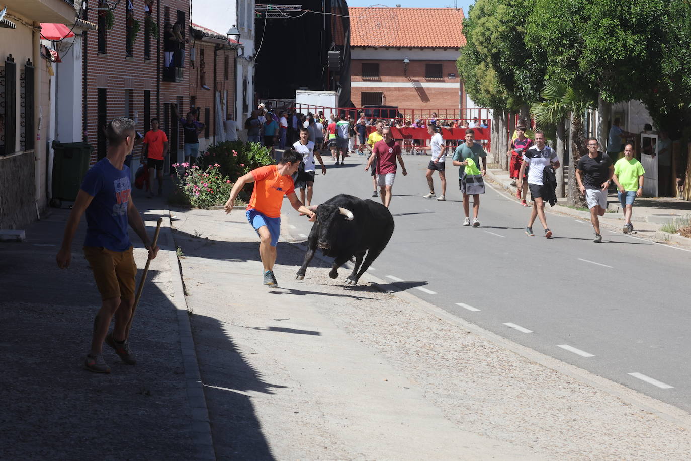 El encierro del Toro de la Bazanca, en imágenes