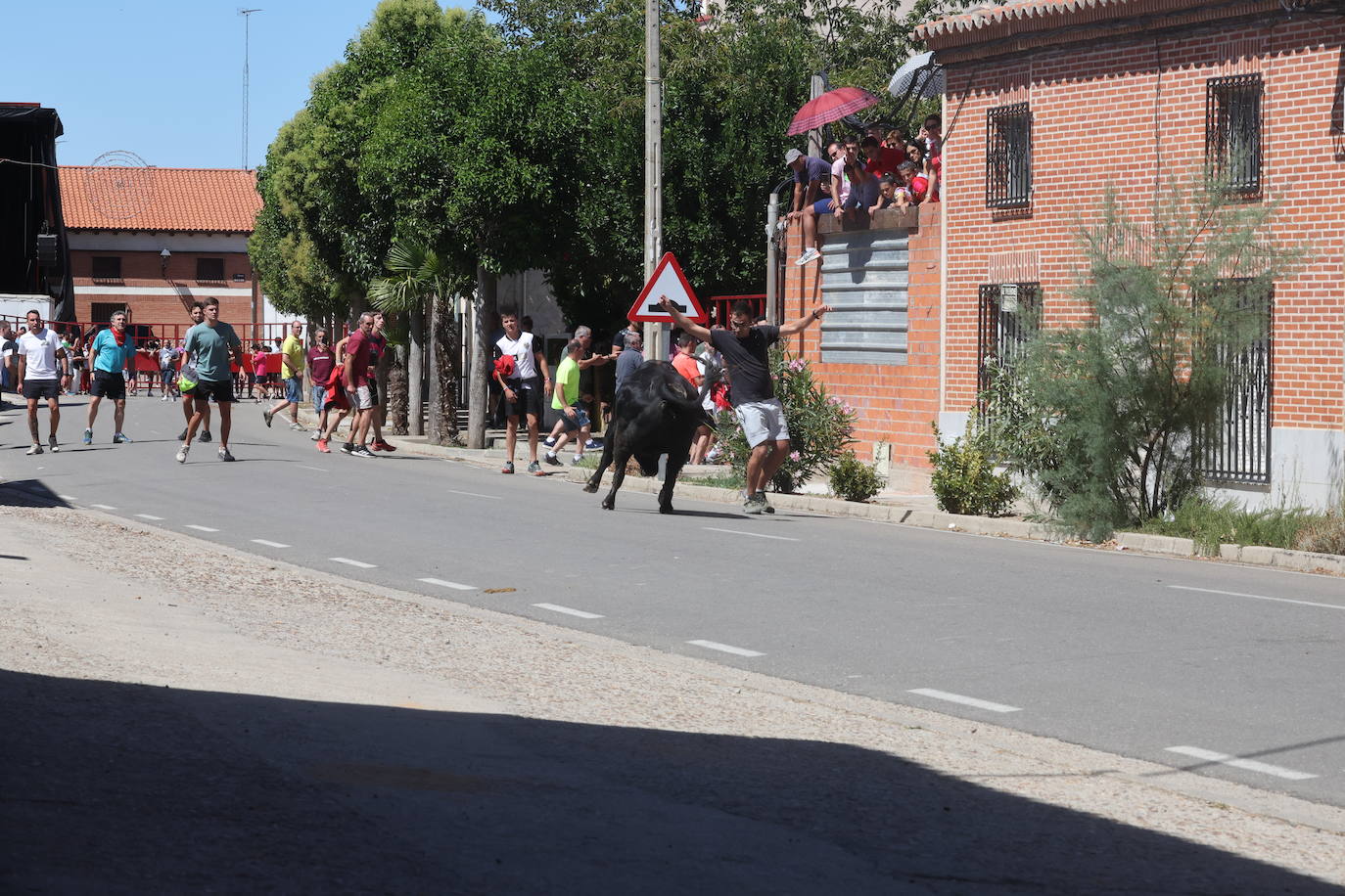 El encierro del Toro de la Bazanca, en imágenes