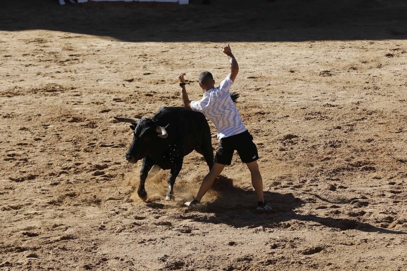 El primer encierro y la capea de Peñafiel, en imágenes