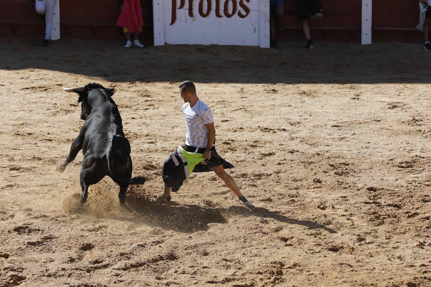 El primer encierro y la capea de Peñafiel, en imágenes