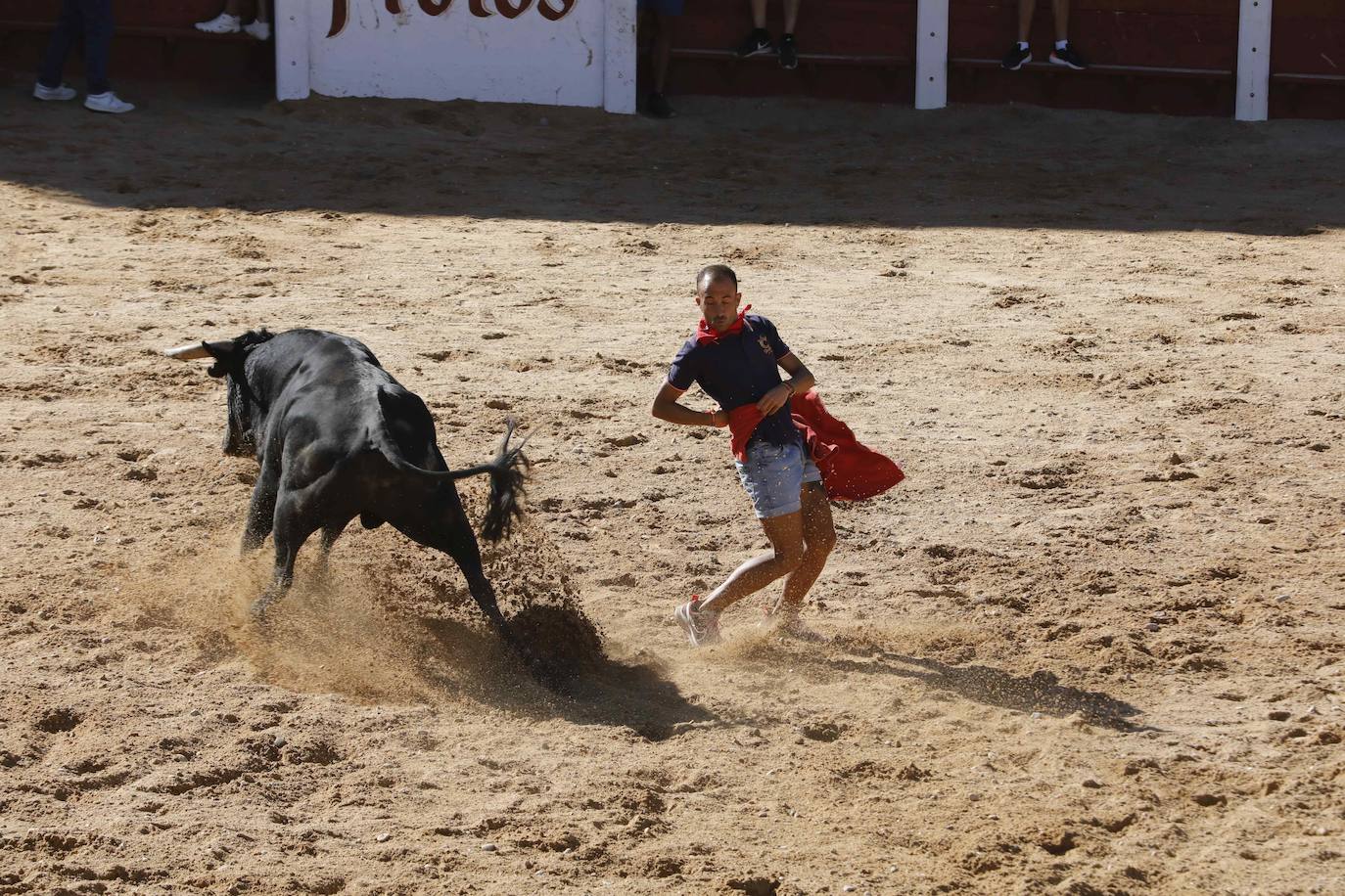 El primer encierro y la capea de Peñafiel, en imágenes