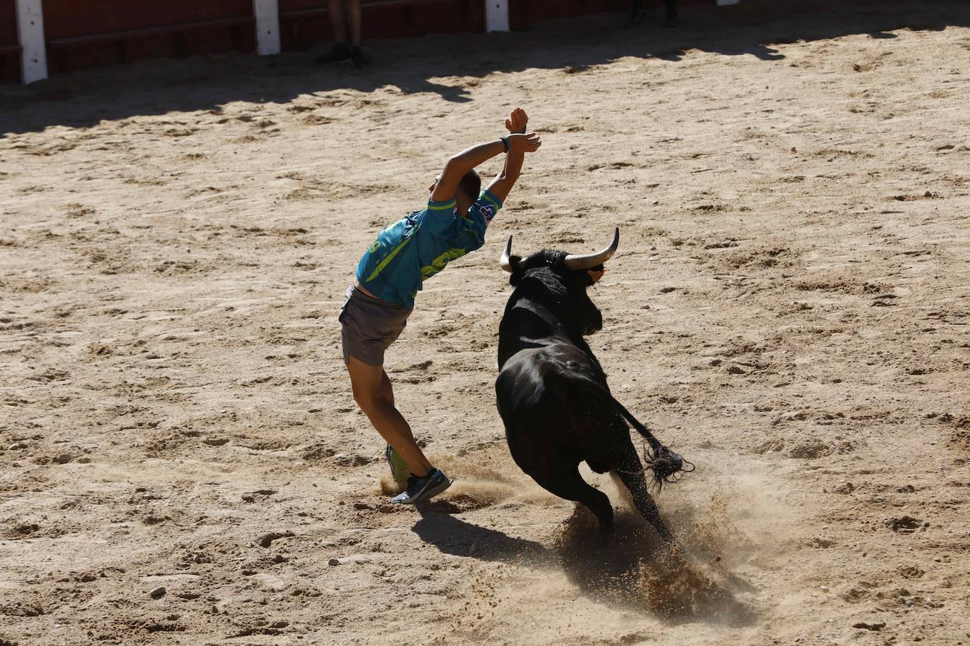 El primer encierro y la capea de Peñafiel, en imágenes