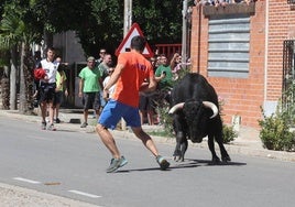 Una imagen del Toro de la Bazaca 2024.